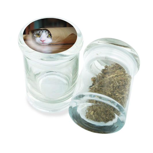 PopTop Glass Container With Design #PJJ-070